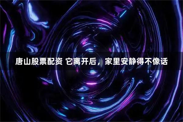 唐山股票配资 它离开后，家里安静得不像话